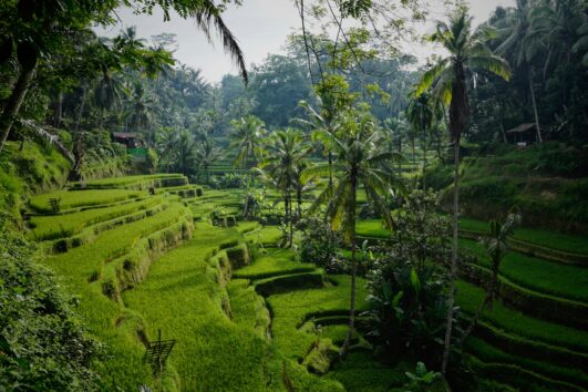 Bir Masal Üç Diyar: Kuala Lumpur, Jakarta, Bali